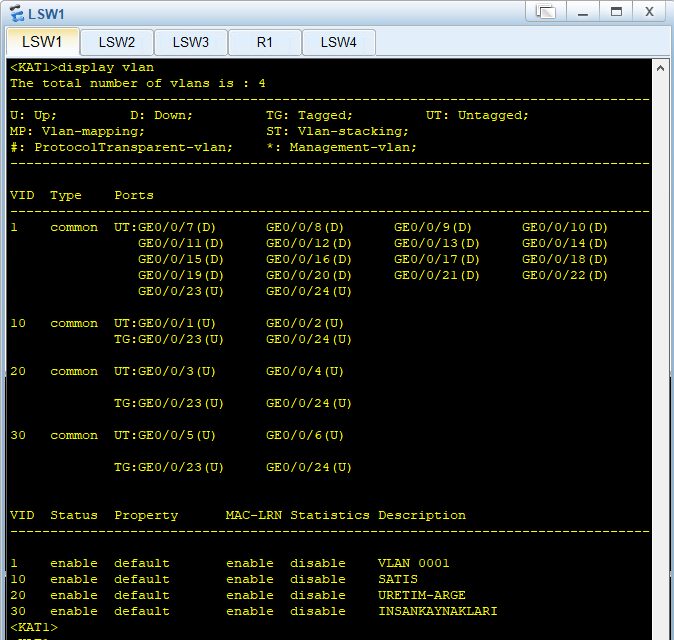 kat1_son_displayvlan.PNG